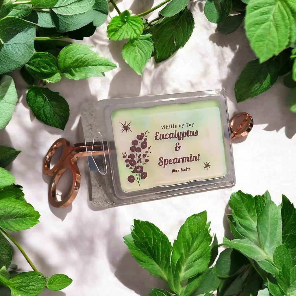Eucalyptus & Spearmint Wax Melts