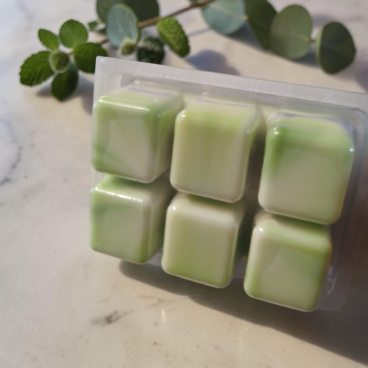 Eucalyptus & Spearmint Wax Melts